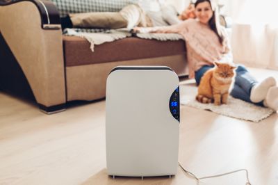 Dehumidifier Installation in Monmouth County, NJ